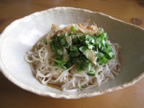 青紫蘇の新芽うどん